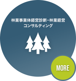 林業事業体経営診断・林業経営コンサルティング