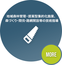 地域森林管理・提案型集約化施業、森づくり・間伐・路網開設等の技術指導